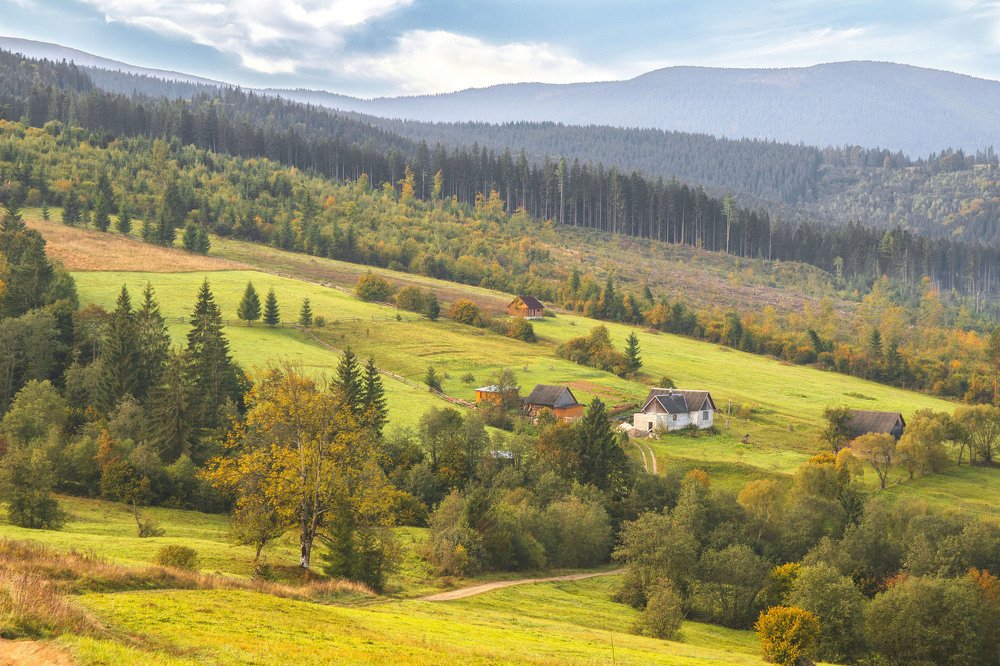 Photograph by Александра Шайдурова