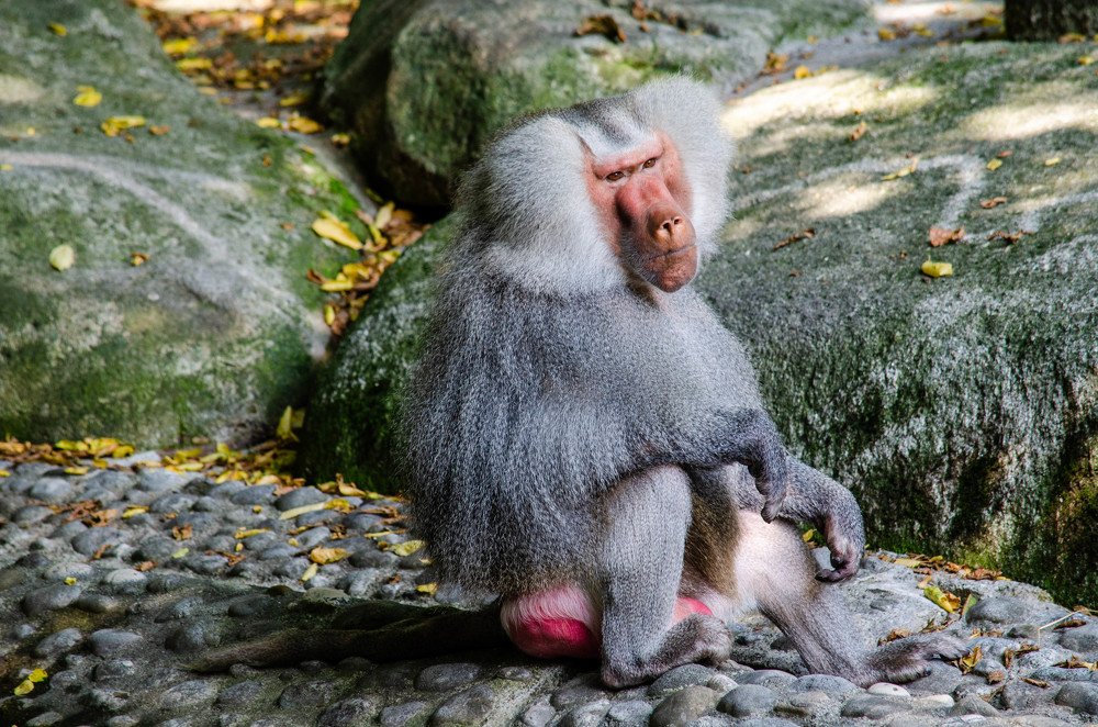 Photograph by Олег Смирнов