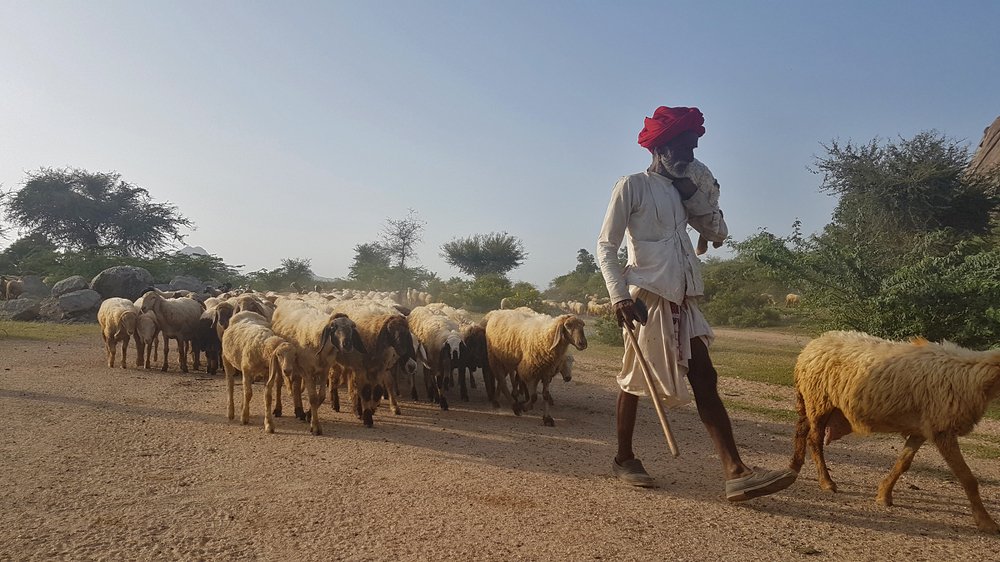 Photograph by Rishit Sheth