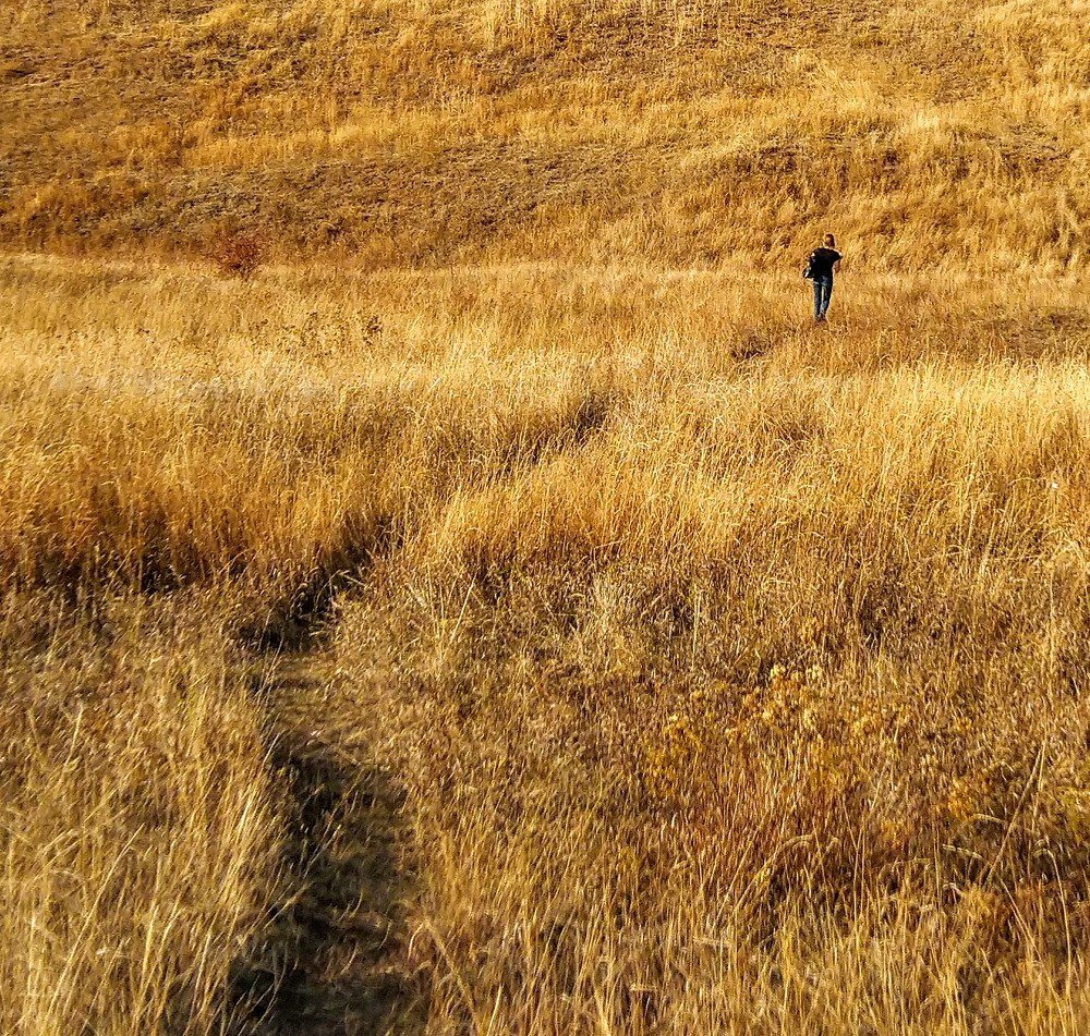 Photograph by Анна Матецкая