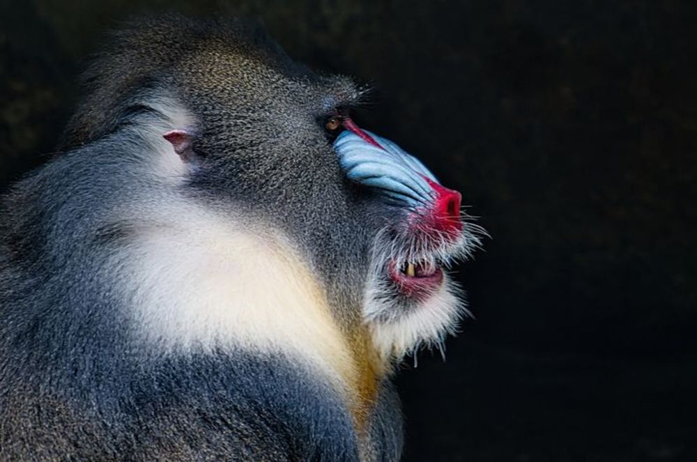 Photograph by Lev Prilutsky