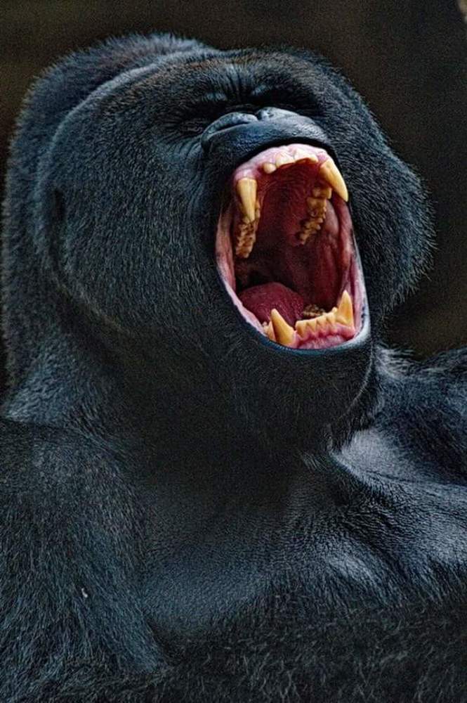 Photograph by Lev Prilutsky