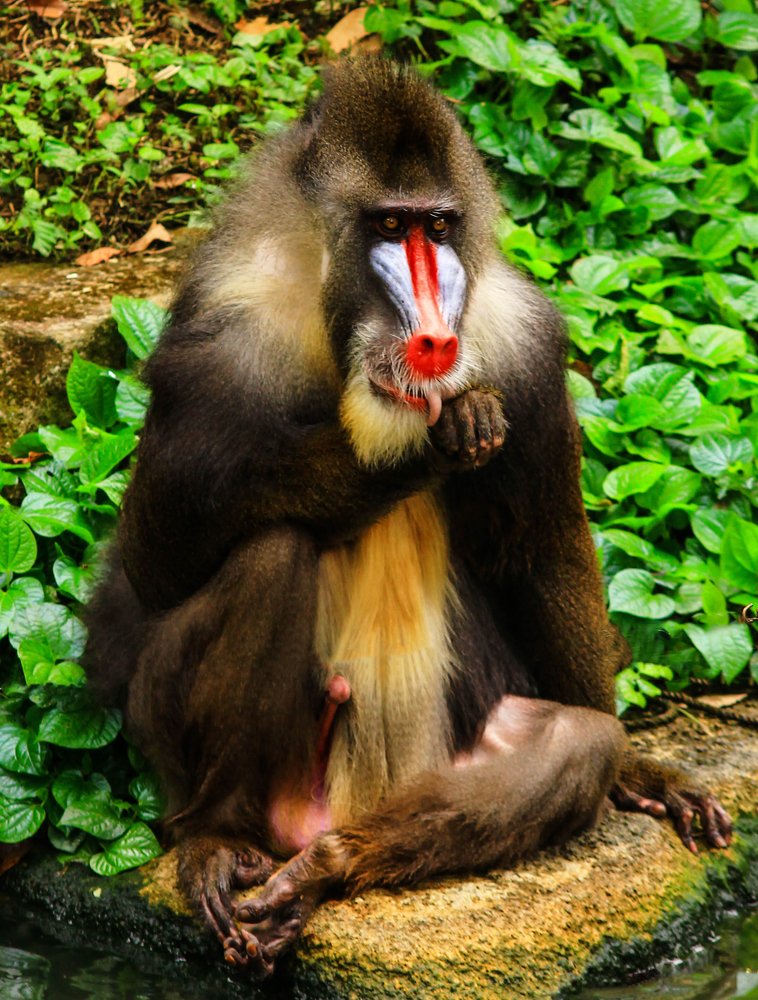 Photograph by Татьяна Бирюкова