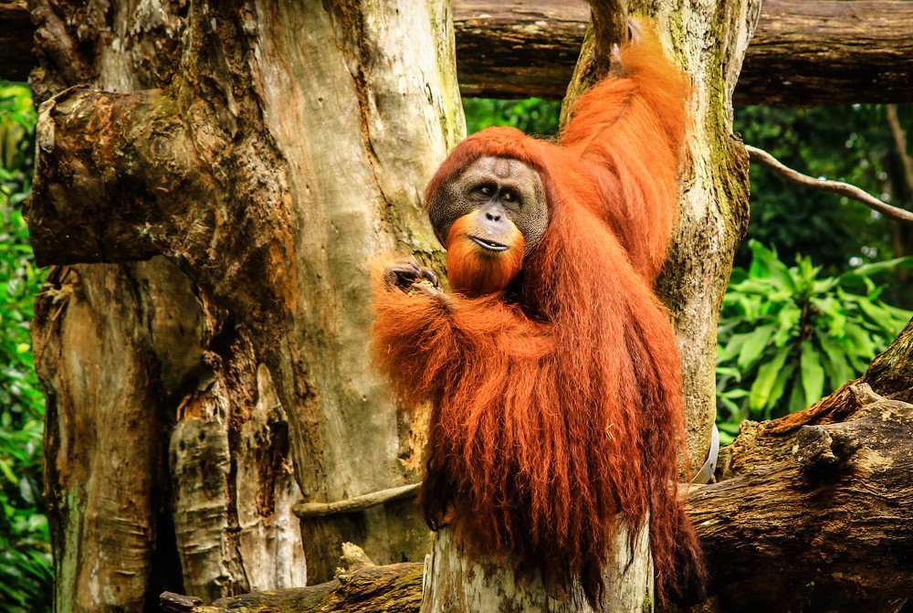 Photograph by Татьяна Бирюкова