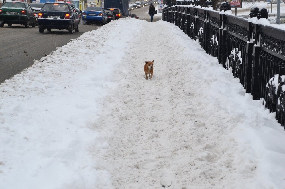 Photograph by Екатерина Ж.