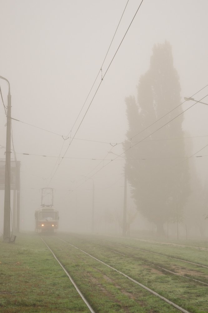 Photograph by Екатерина Ж.