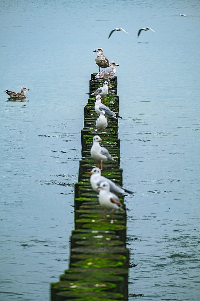 Фотография автора Владимир Эделев