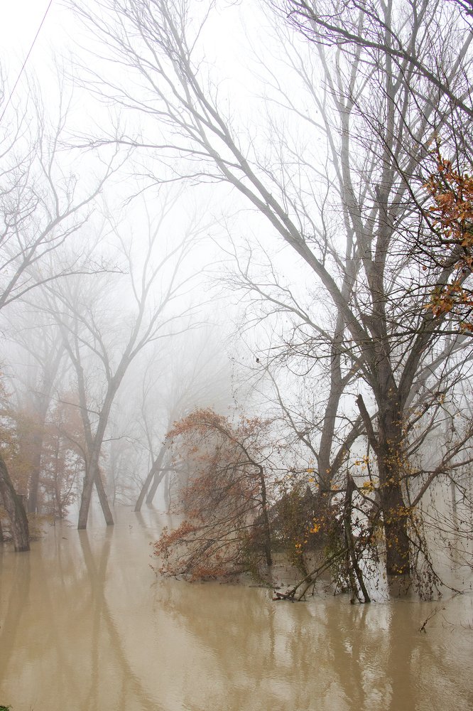 Fog and water