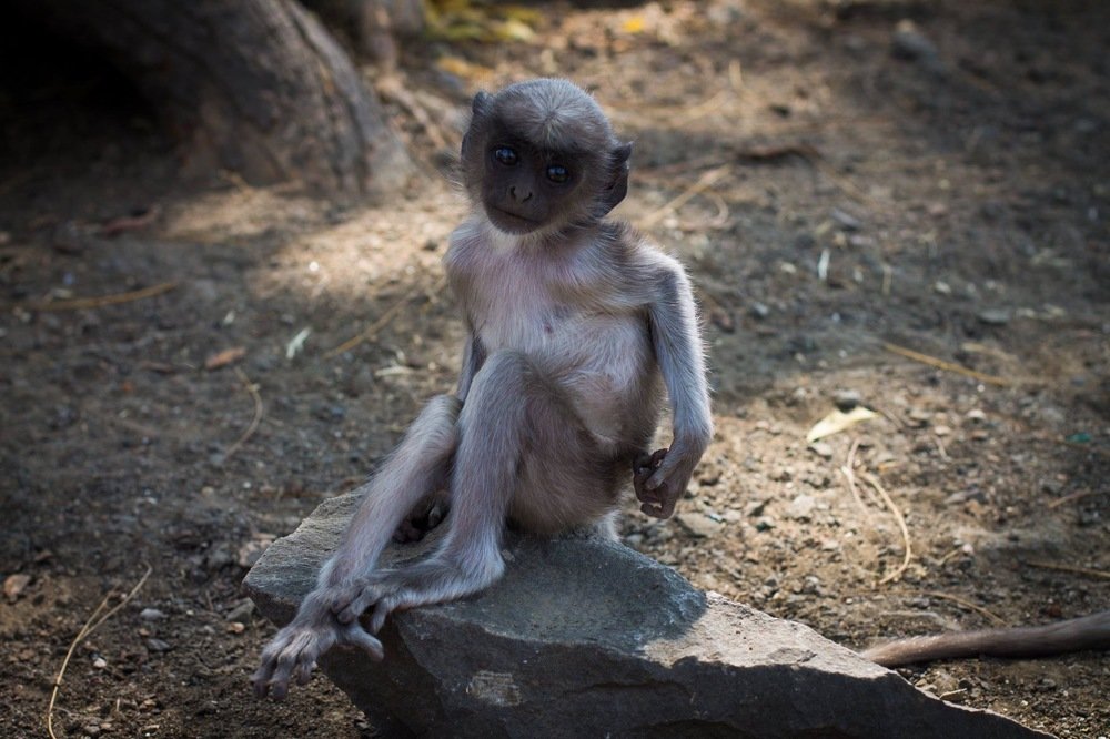 Photograph by Natalia Cyberia