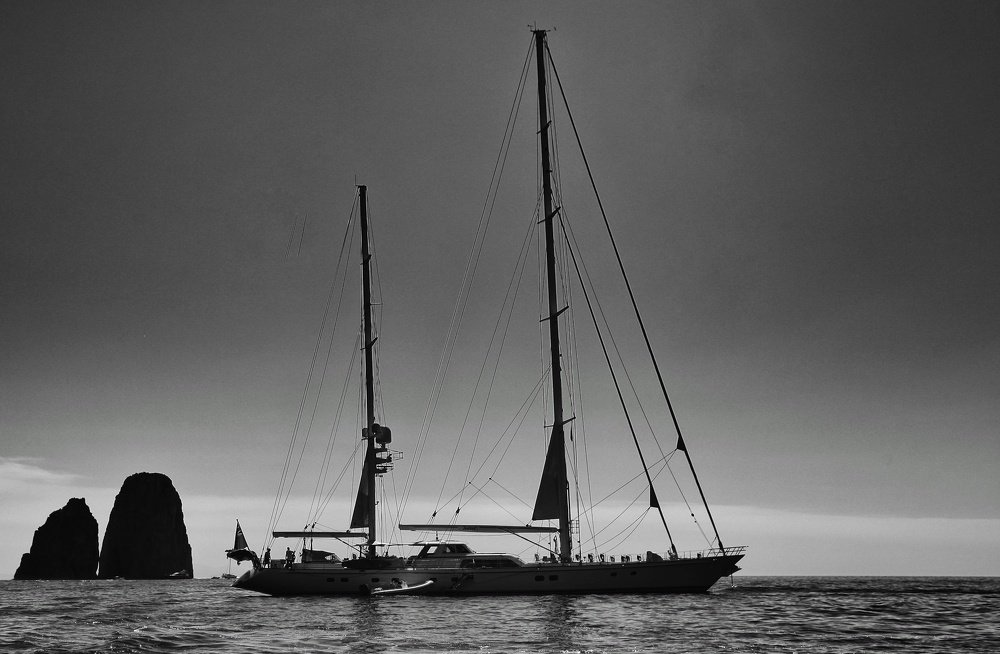 Photograph by Sax