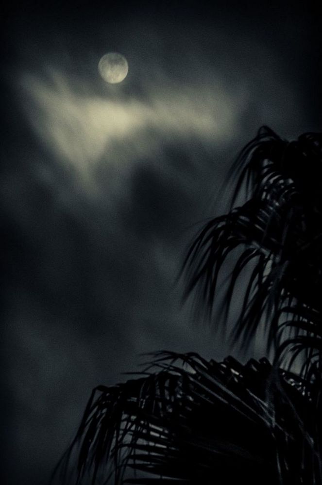 Photograph by Михаил Домешек