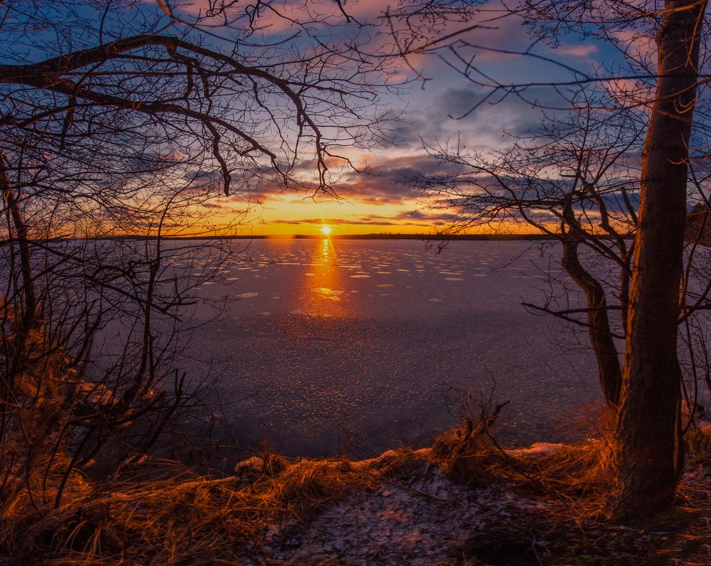 Photograph by Воробьёв Евгений