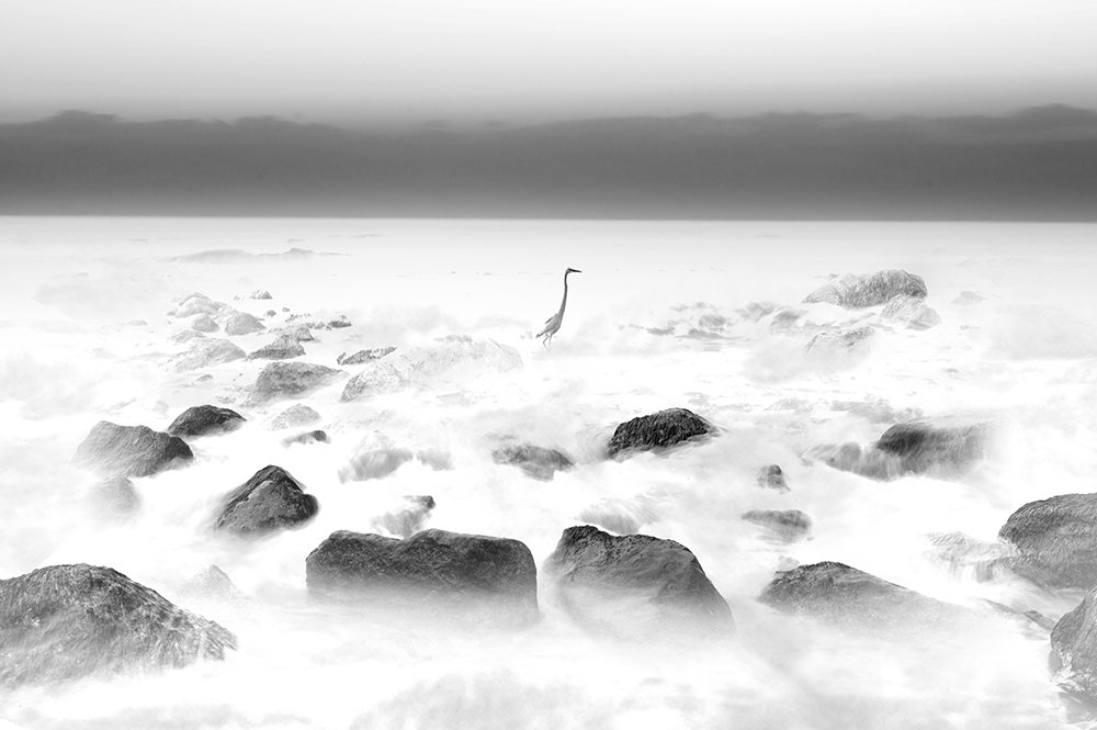 Photograph by Mohammadreza Masoumi