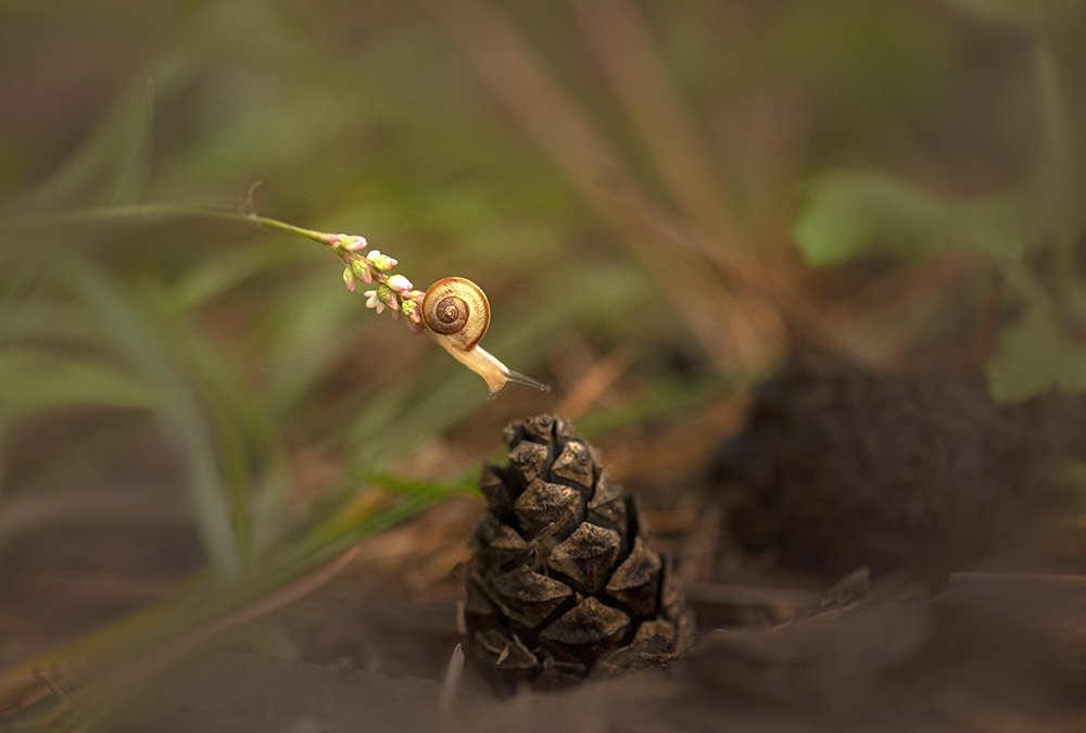 Photograph by Елена Осколкова