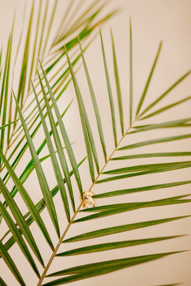 Photograph by Мариша Дядюк