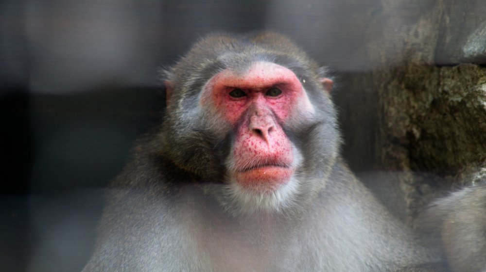 Photograph by Евгений Калагаев