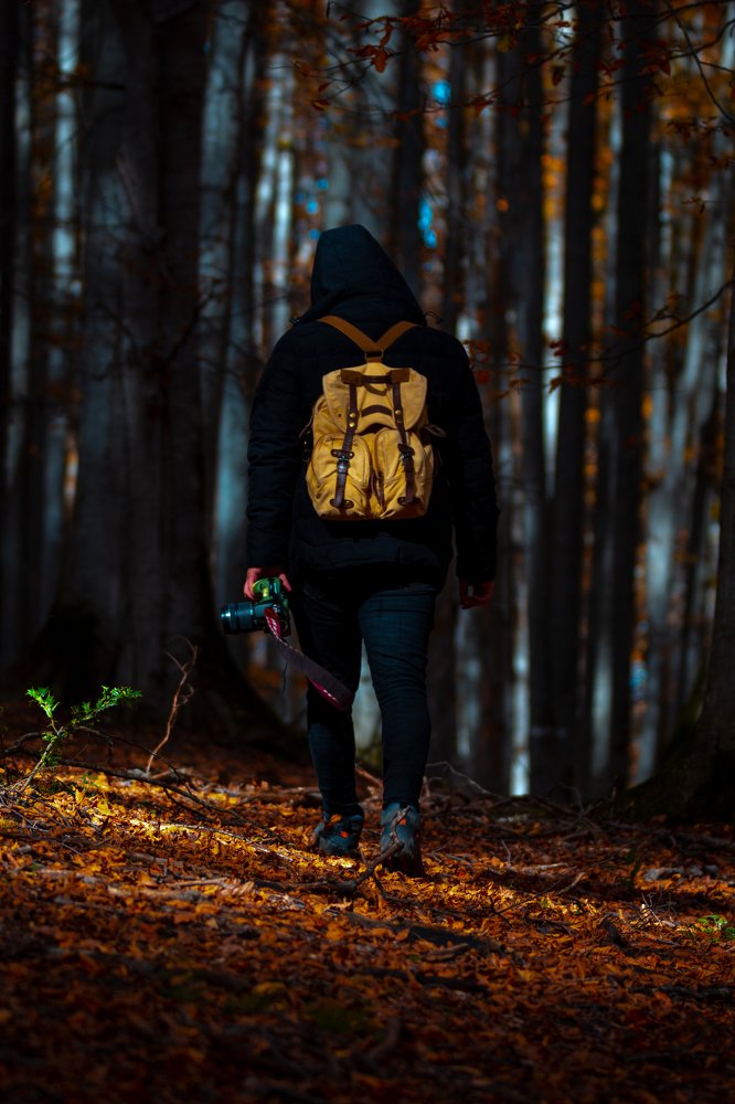 Photograph by Alireza Sadati