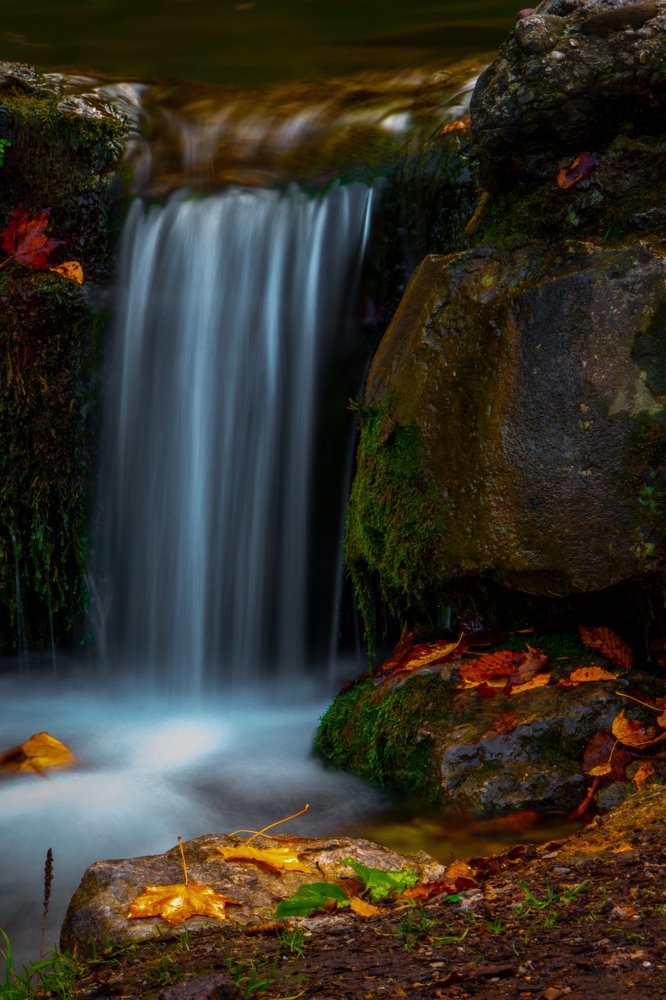 Photograph by Alireza Sadati