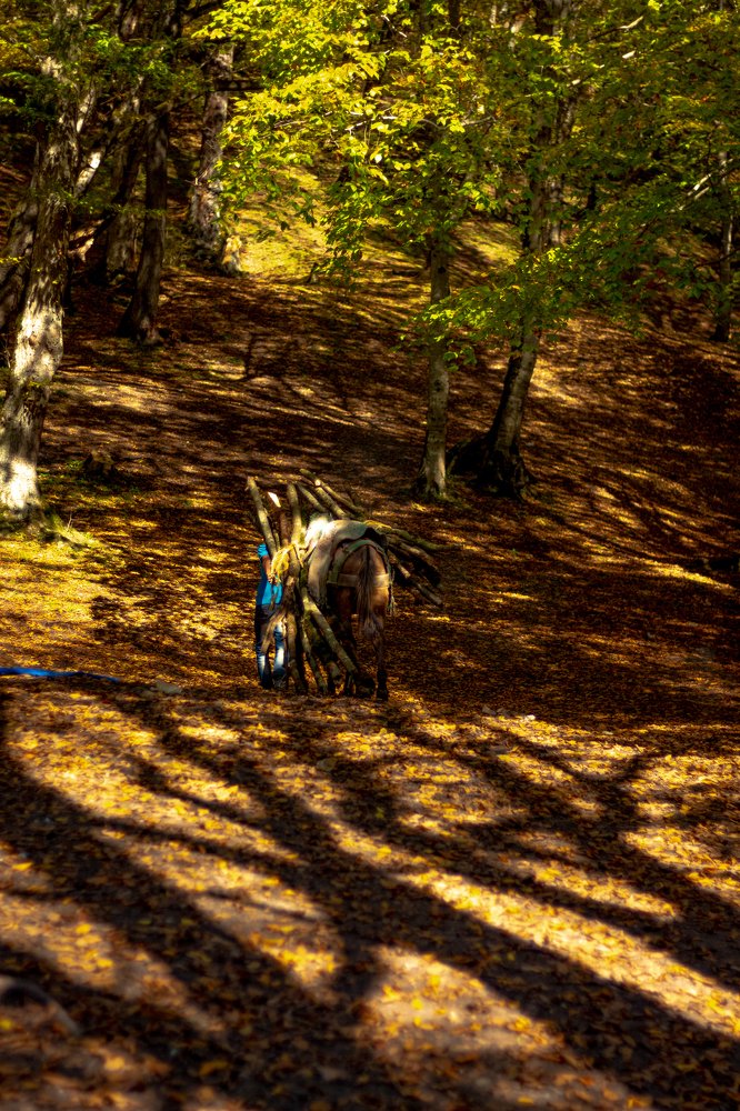 Photograph by Alireza Sadati