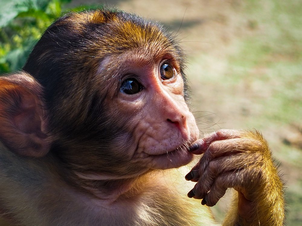 Photograph by Anca Uifalean