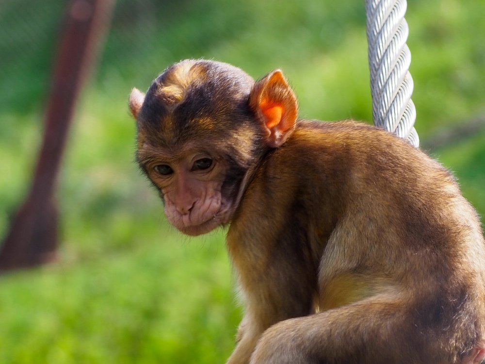 Photograph by Anca Uifalean