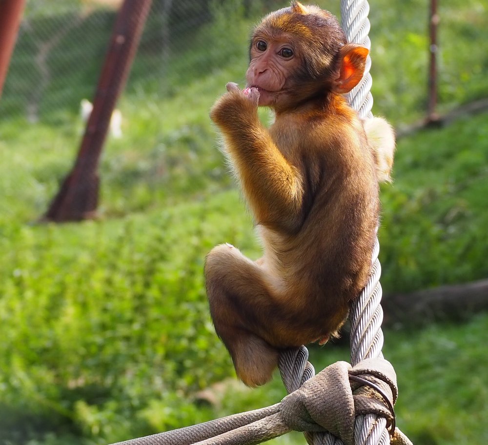 Photograph by Anca Uifalean