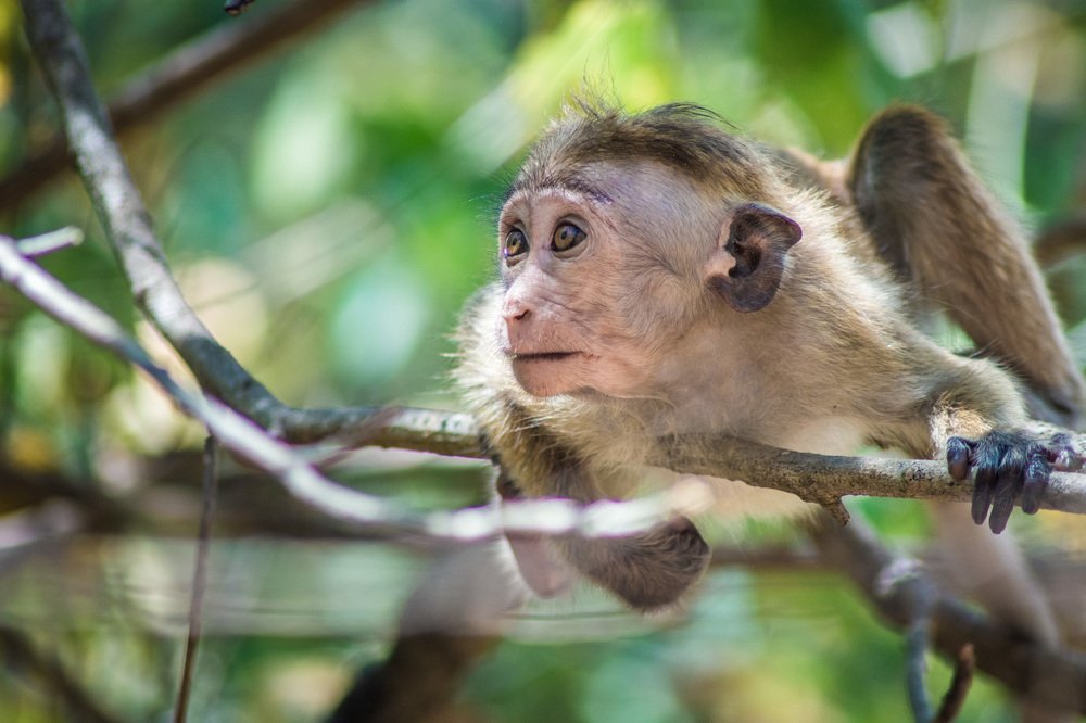 Photograph by Diluckshan Puviraj