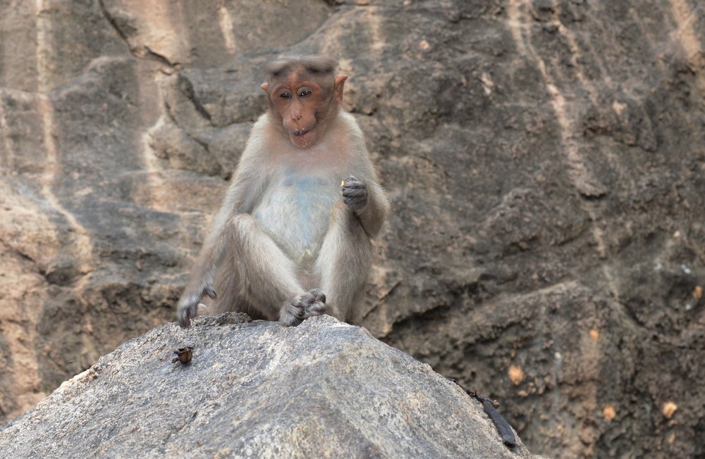 Photograph by Prabhu Viswanathan