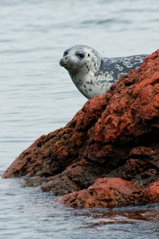 Photograph by Анна Стрельченко