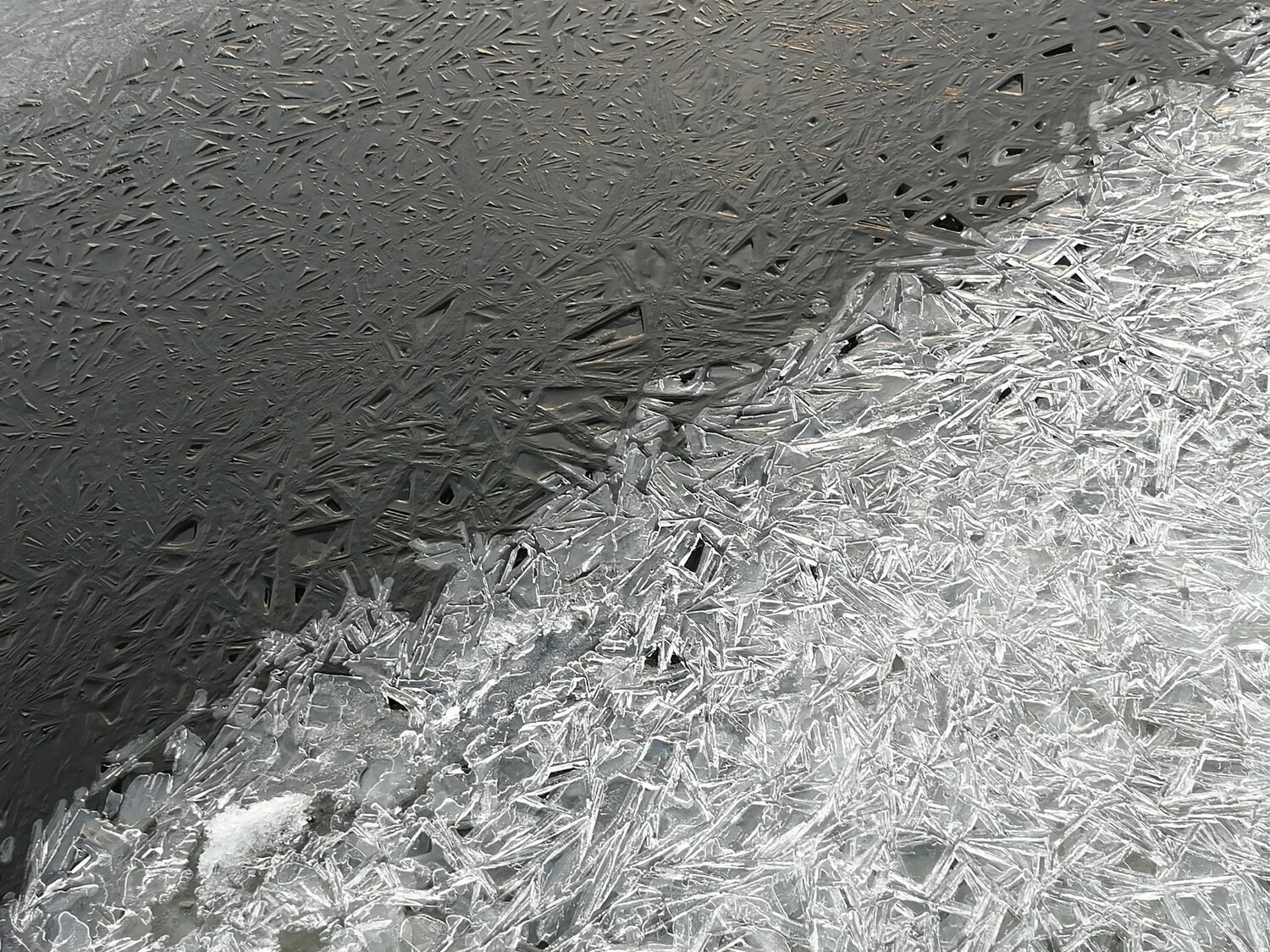 Photo #3971306