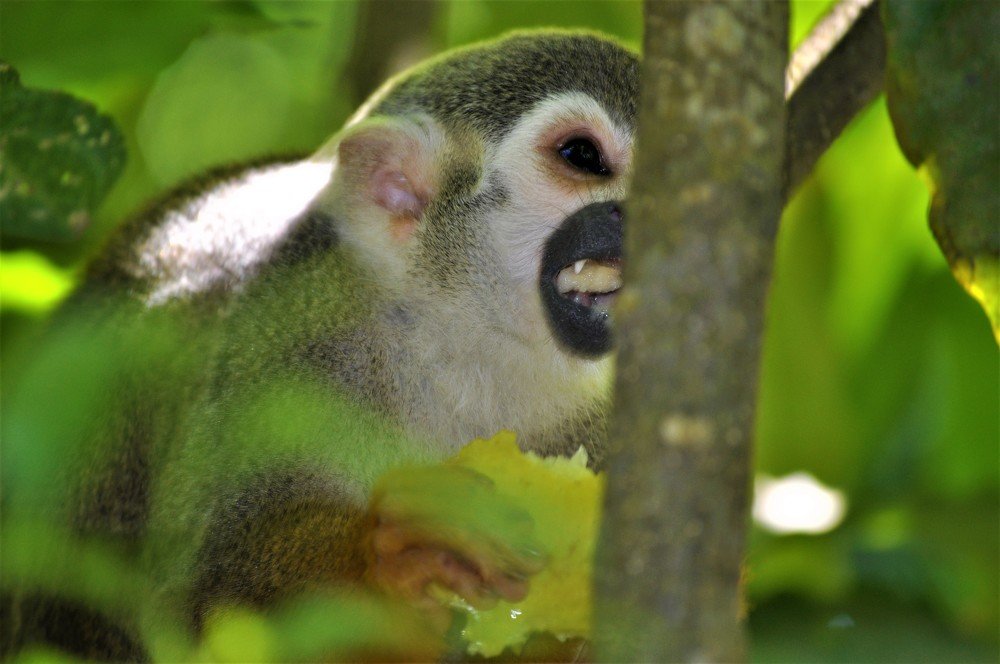 Photograph by stefanini alexis