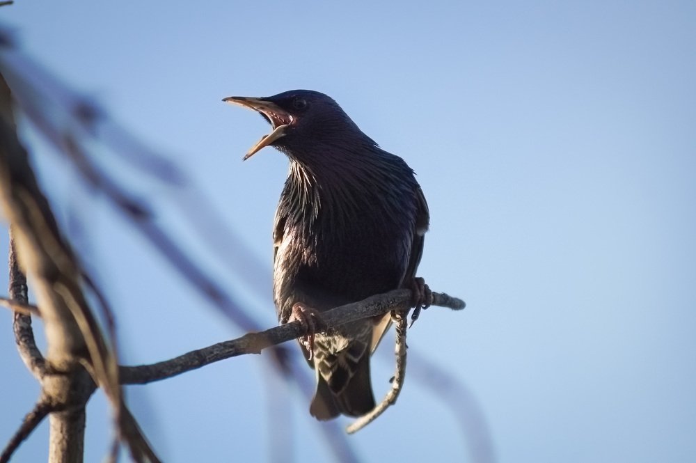 Photograph by Slesareva Nina