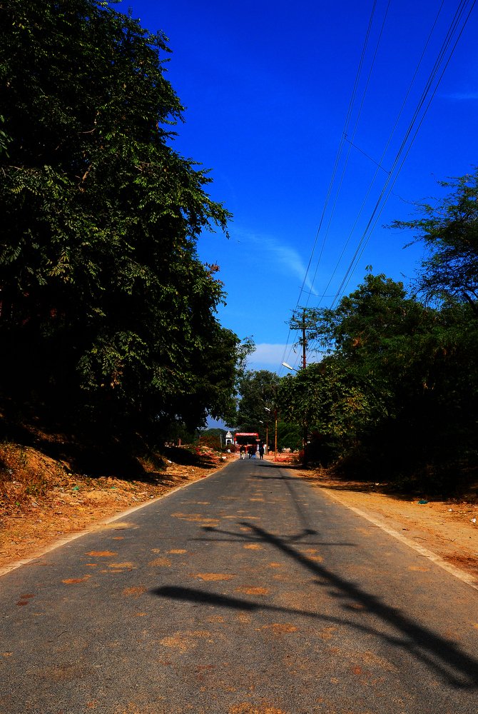 Photograph by Raaj Kiran