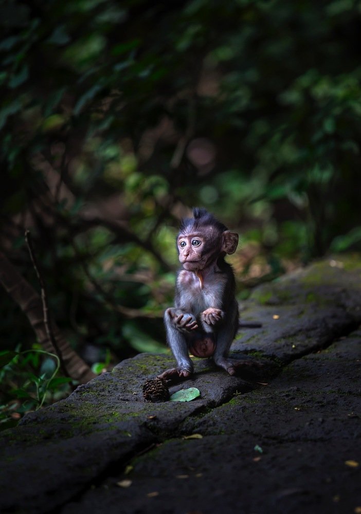 Photograph by Павел Попов