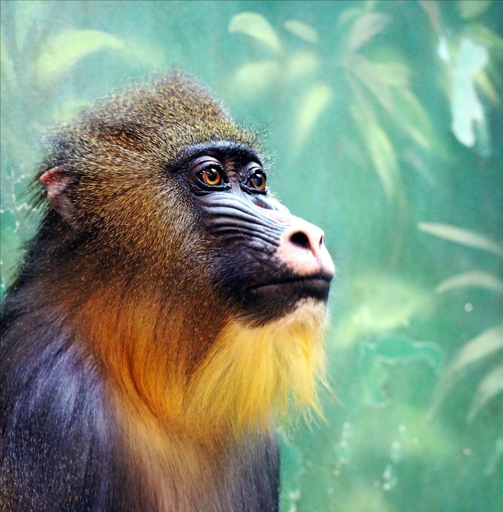 Photograph by Tatyana Markova