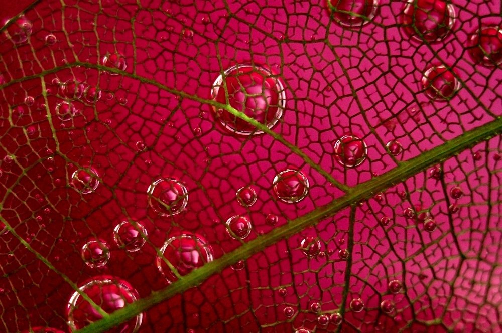 Фотография автора Людмила Яковлева