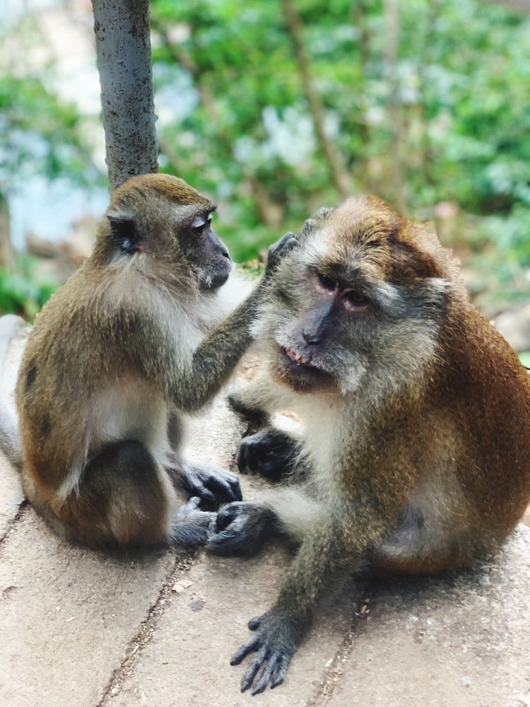 Photograph by MUHAMMAD FIKRI BIN KASSIM Muhammad