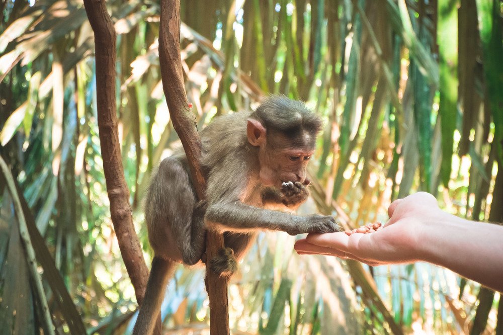 Фотография автора Анна Петина