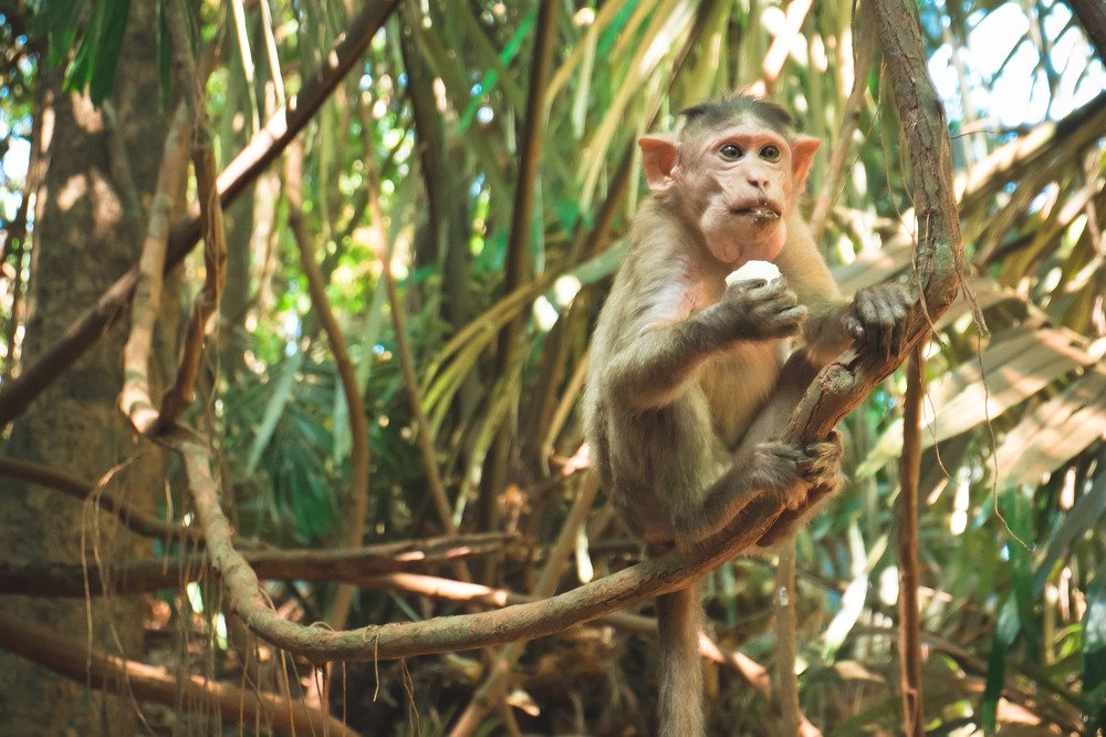 Фотография автора Анна Петина
