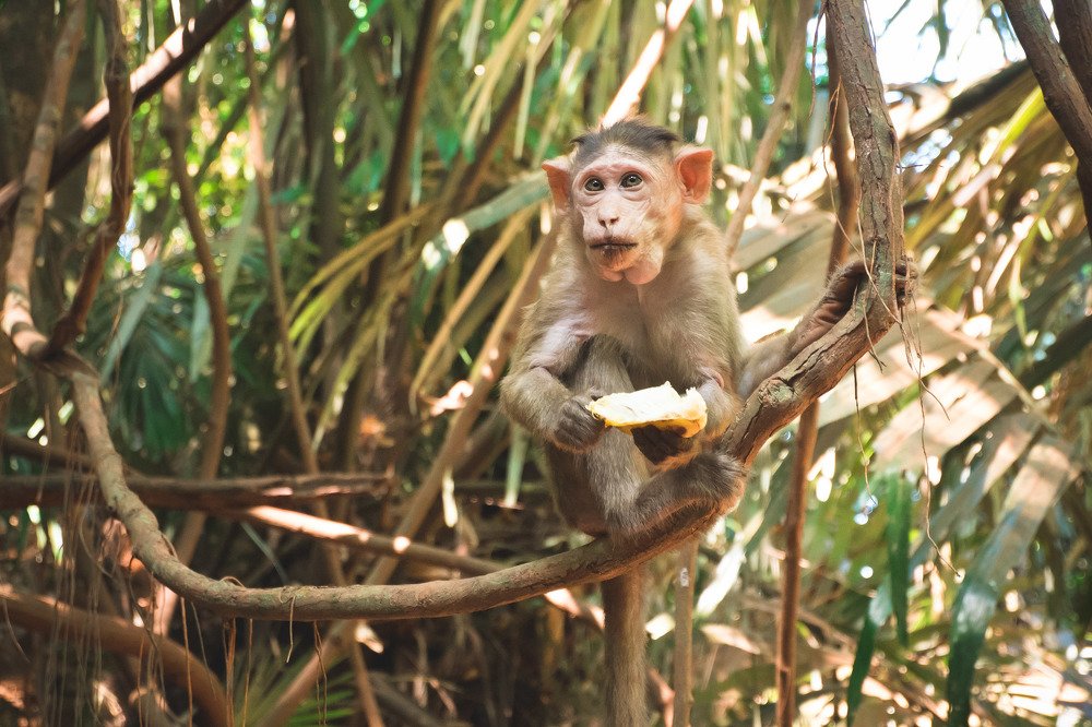 Фотография автора Анна Петина