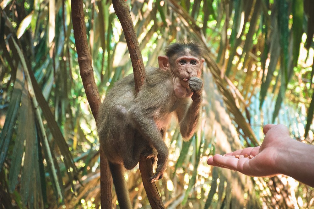 Фотография автора Анна Петина