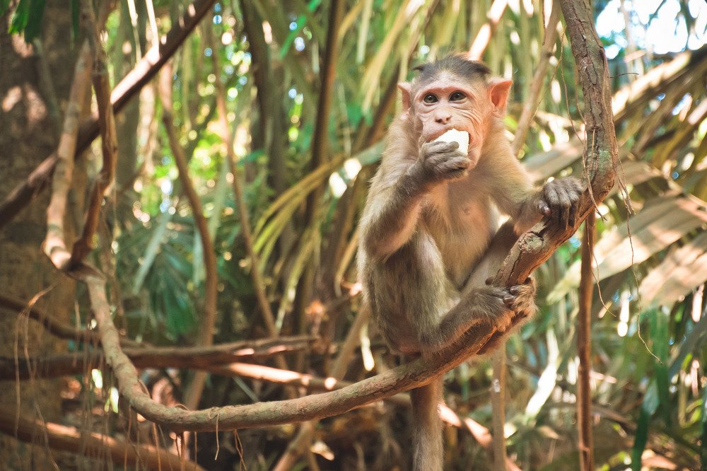 Фотография автора Анна Петина