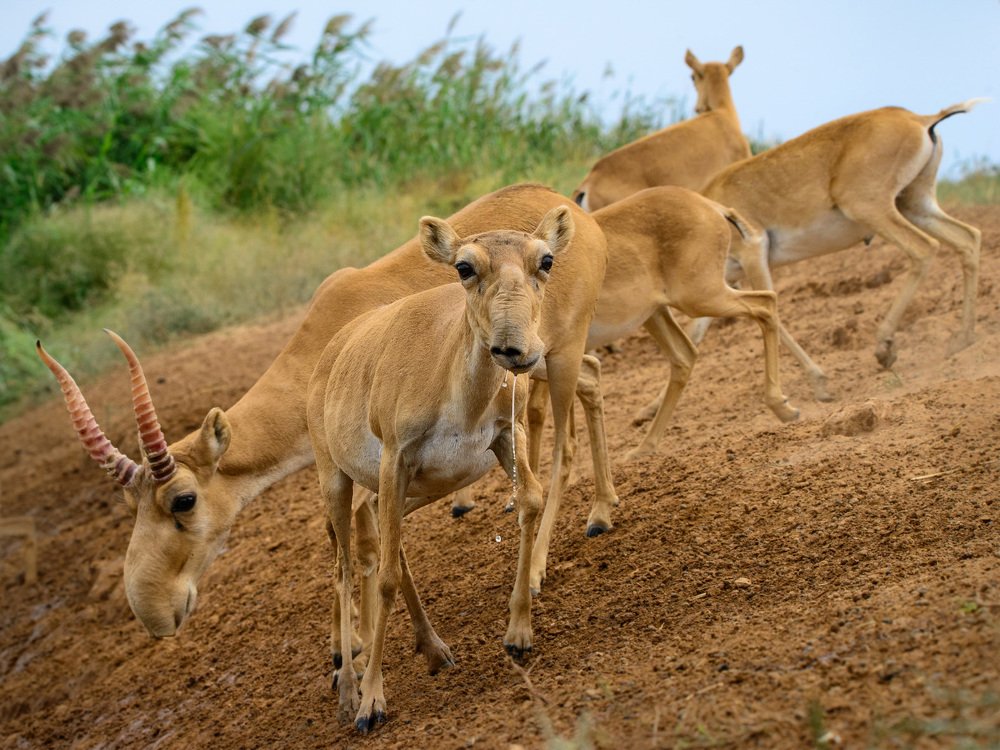 Фотография автора Mashin Rostislav