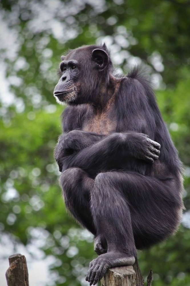 Photograph by Игорь Овсиенко