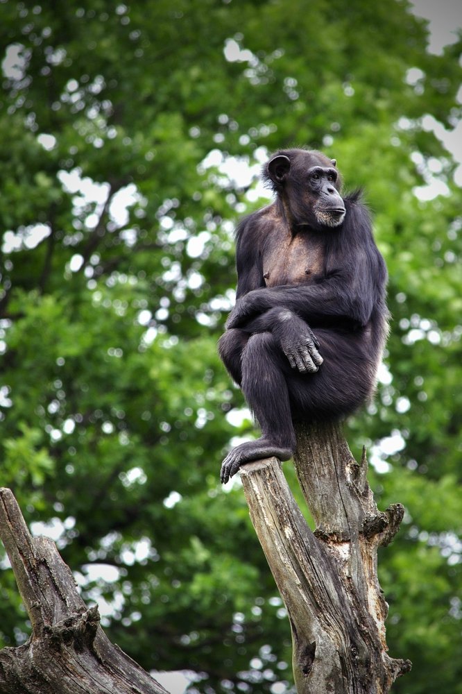 Оглядывая свои окрестности