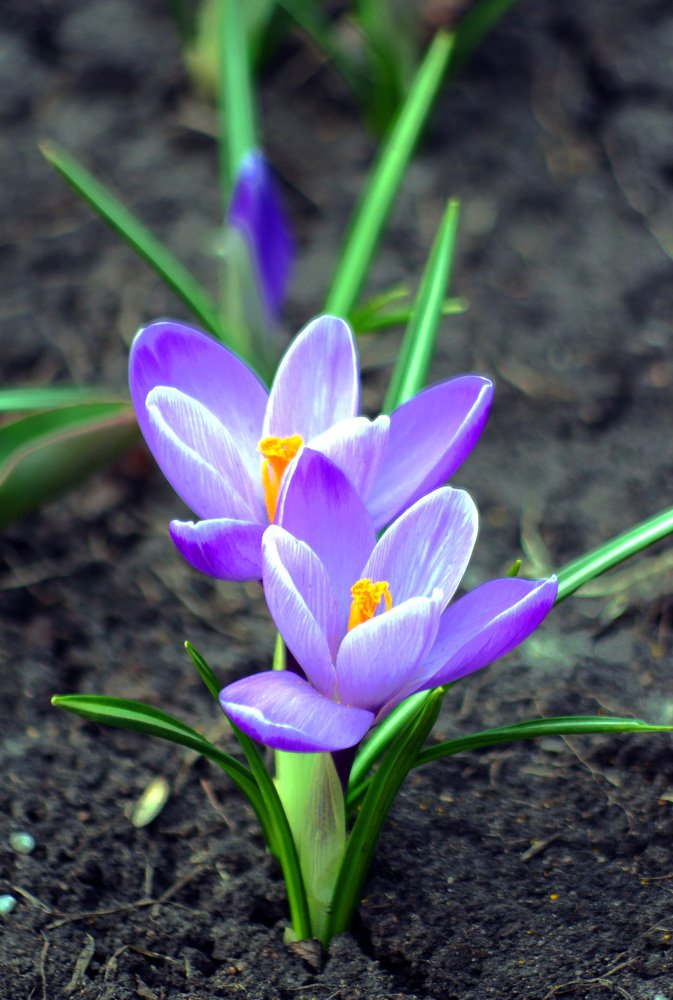 Photograph by Михаил Обертаев