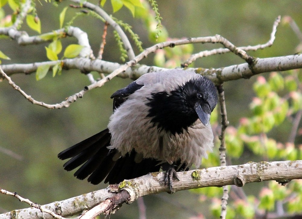 Фотография автора Владислава Андрюнина