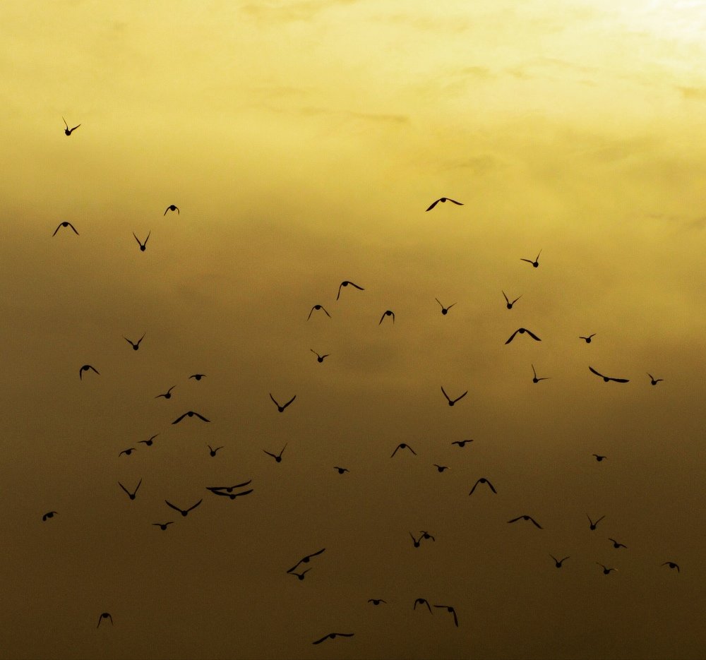 Photograph by Soleimani Hoda