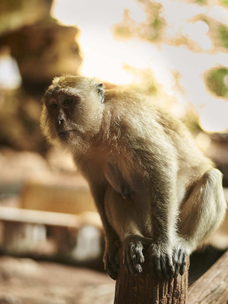 Фотография автора Олег Петреев