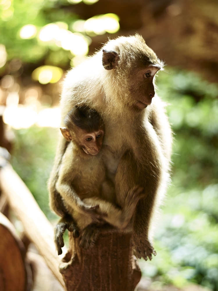Фотография автора Олег Петреев